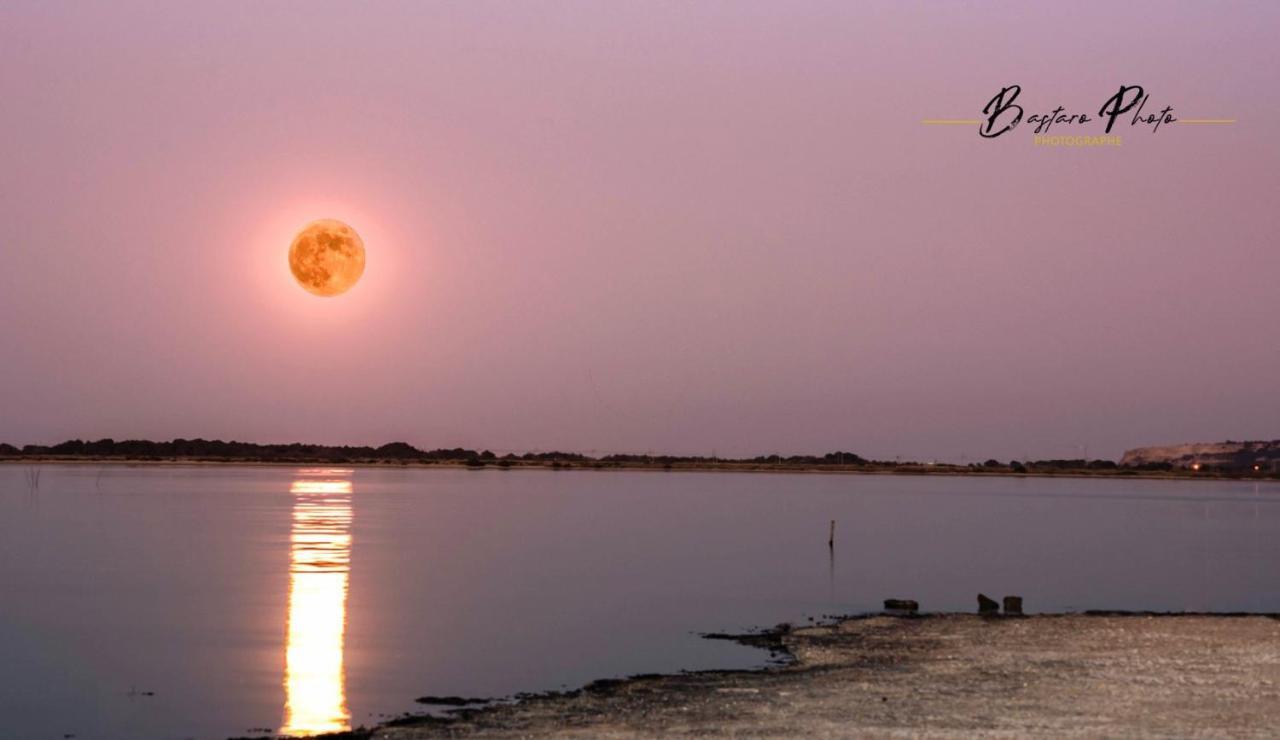 Studio Nefs Des Sables Leucate Dış mekan fotoğraf
