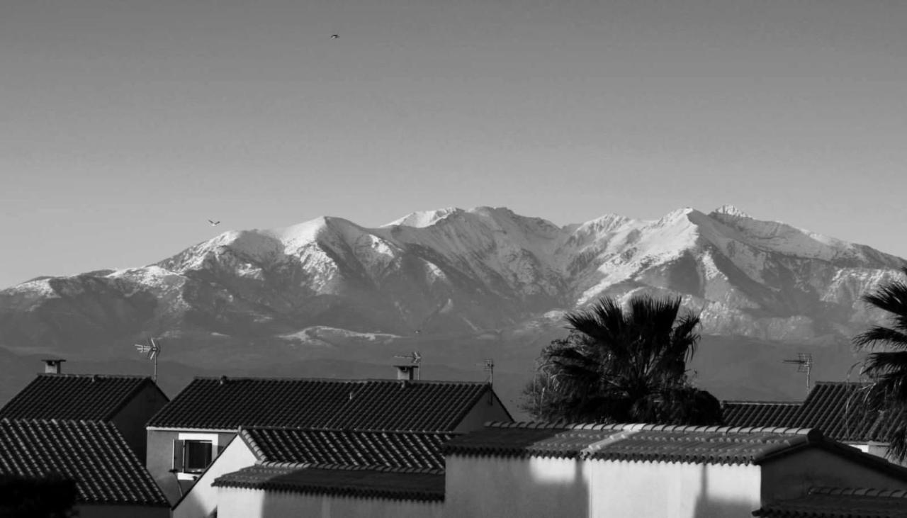 Studio Nefs Des Sables Leucate Dış mekan fotoğraf