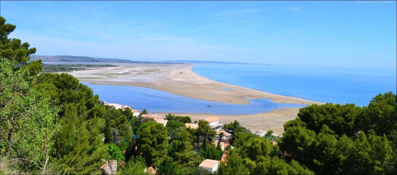 Studio Nefs Des Sables Leucate Dış mekan fotoğraf